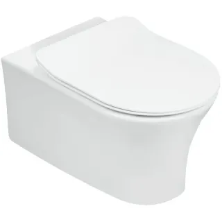 Инсталляция Jacob Delafon E21731RU-CP с безободковым унитазом Aleo сиденье с микролифтом клавиша смыва хром