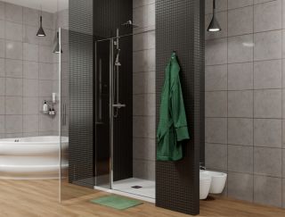 Душевая дверь Allen Brau Priority 3.31001.00G профиль хром