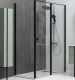 Душевая дверь Allen Brau Priority 100 3.31006.BBA профиль Черный