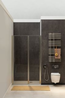 Душевая дверь Allen Brau Priority 140 3.31035.BA профиль Серебро браш