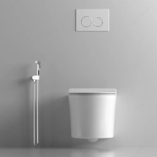 Подвесной унитаз Cerutti SPA Adige Aria MW CT9245 безободковый белый матовый