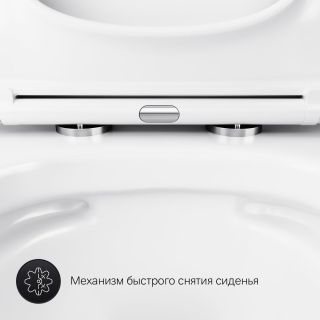 Подвесной унитаз AM.PM Gem C901701SC