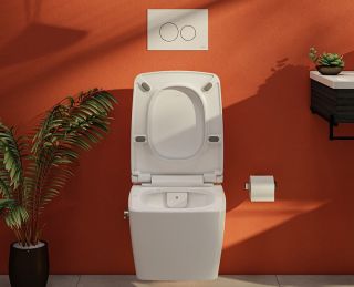 Чаша унитаза подвесного VitrA Metropole Rim-Ex с функцией биде и встроенным смесителем 7672B003-1684