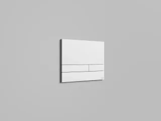 Кнопка смыва Salini Puro 30P2MST2S2M**** RAL полностью