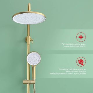 Душевая стойка Raglo R03.24.03 золотой сатин