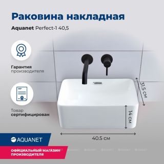 Раковина накладная Aquanet Perfect-2 273674 48 см белый