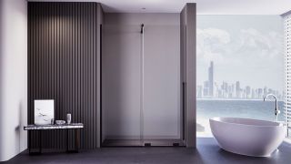 Душевая дверь Veconi Premium Trento PTDW-50B, 1000x2000, черный матовый, стекло прозрачное