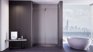 Душевая дверь Veconi Premium Trento PTDW-50GR, 1000x2000, брашированный графит, стекло прозрачное